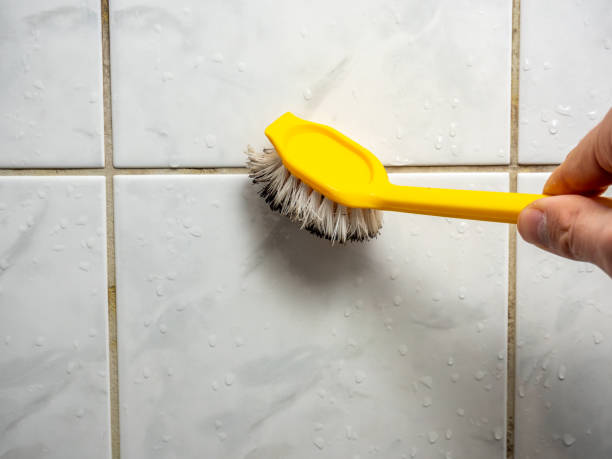 Best Post-Flood Mold Remediation in Avon, IN