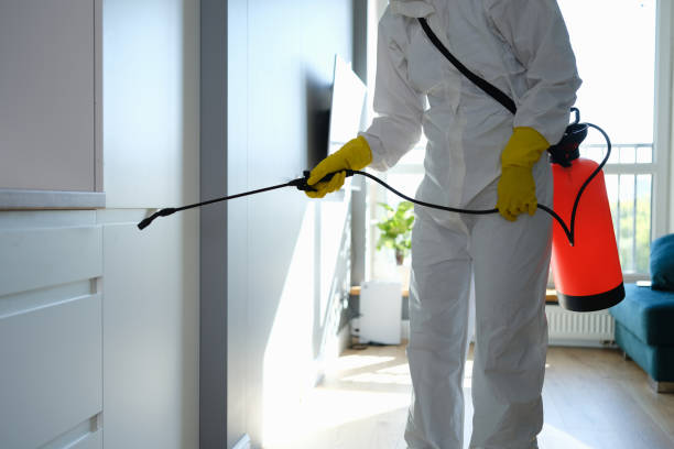 Professional Mold Remediation in Avon, IN