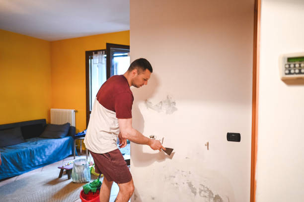 Best Commercial Mold Remediation in Avon, IN